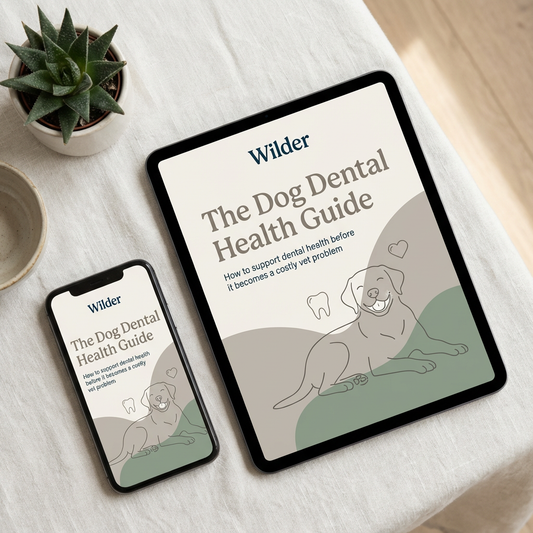 The Wilder Dental Care Guide