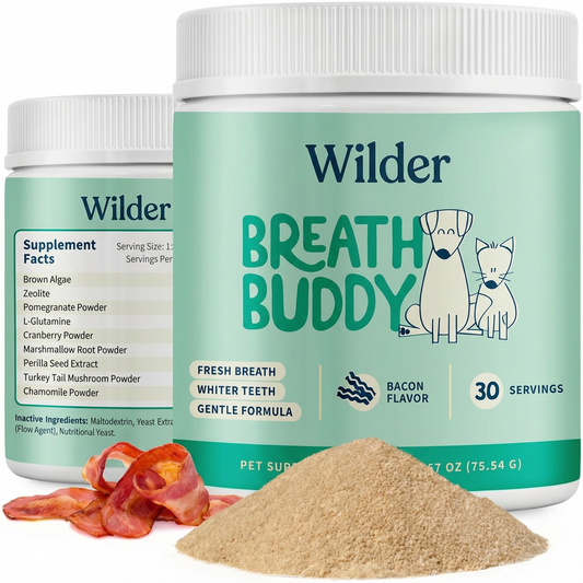 Wilder Daily Dental